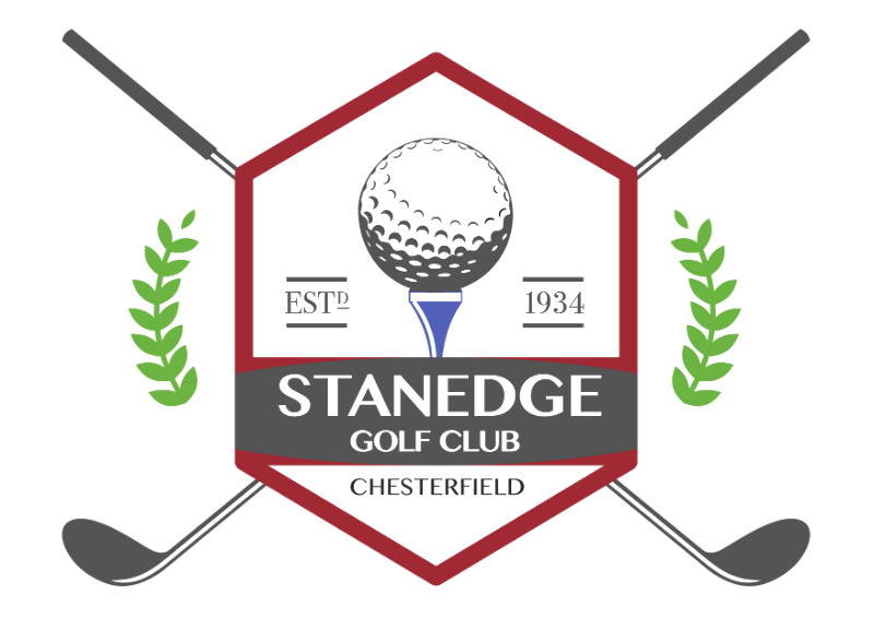 Stanedge Logo