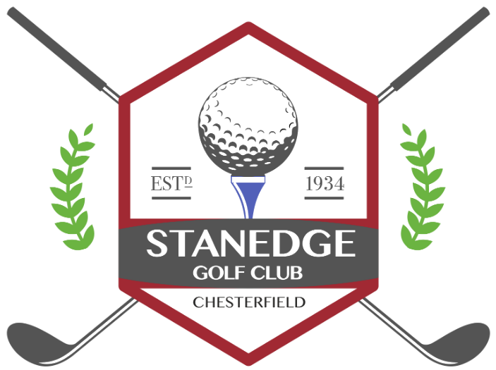 Stanedge Logo